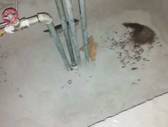 克山卫生间测漏水价格明细